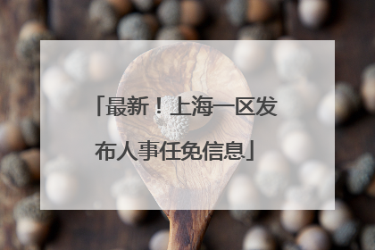 最新！上海一区发布人事任免信息