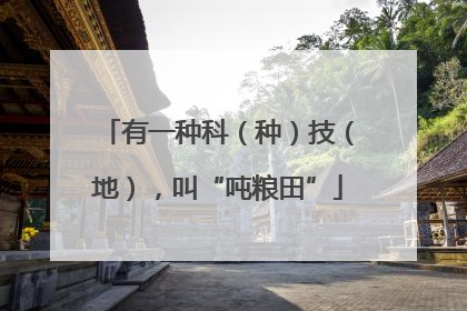 有一种科（种）技（地），叫“吨粮田”