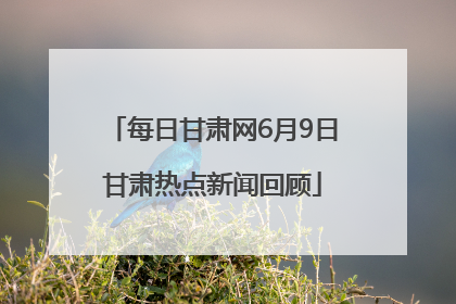 每日甘肃网6月9日甘肃热点新闻回顾