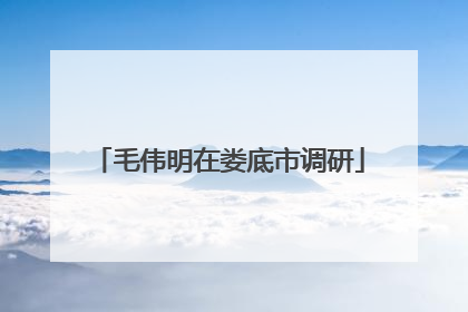 毛伟明在娄底市调研
