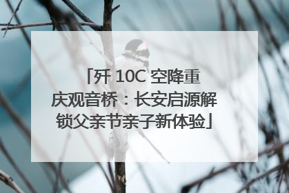 歼 10C 空降重庆观音桥：长安启源解锁父亲节亲子新体验