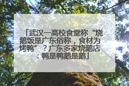 武汉一高校食堂称“烧鹅饭是广东俗称，食材为烤鸭”？广东多家烧鹅店：鸭是鸭鹅是鹅