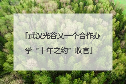 武汉光谷又一个合作办学“十年之约”收官