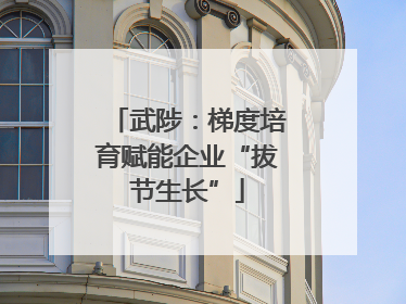 武陟：梯度培育赋能企业“拔节生长”