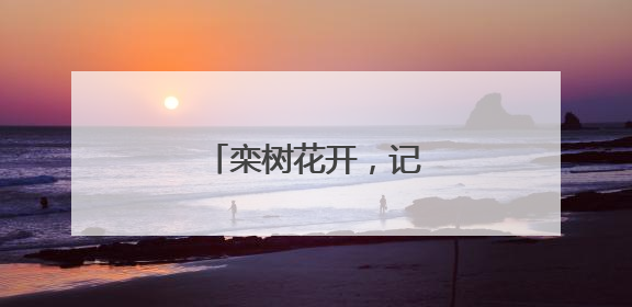 栾树花开，记录夏日浪漫