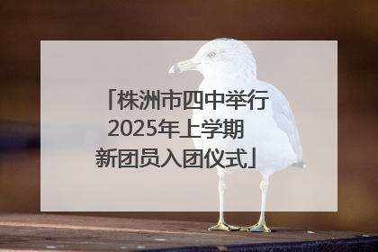 株洲市四中举行2025年上学期新团员入团仪式