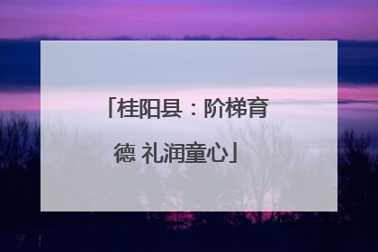桂阳县：阶梯育德 礼润童心