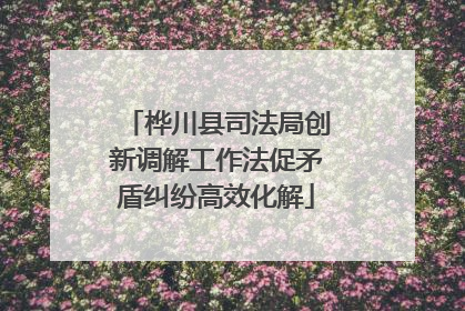 桦川县司法局创新调解工作法促矛盾纠纷高效化解