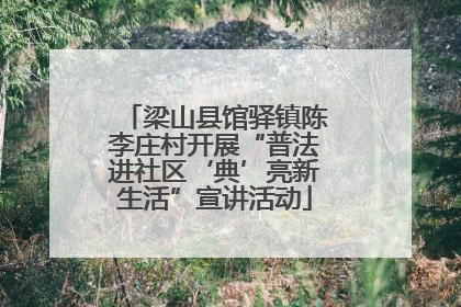 梁山县馆驿镇陈李庄村开展“普法进社区‘典’亮新生活”宣讲活动