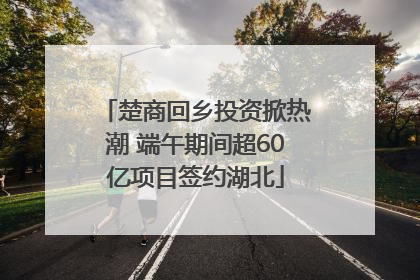 楚商回乡投资掀热潮 端午期间超60亿项目签约湖北