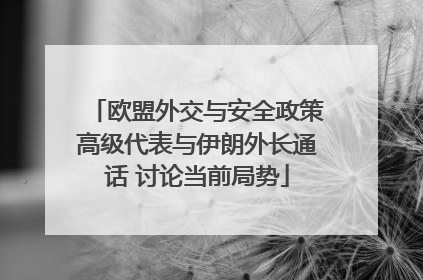 欧盟外交与安全政策高级代表与伊朗外长通话 讨论当前局势