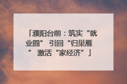 濮阳台前：筑实“就业圈” 引回“归巢雁” 激活“家经济”