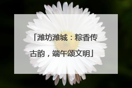 潍坊潍城：粽香传古韵，端午颂文明