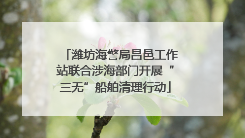 潍坊海警局昌邑工作站联合涉海部门开展“三无”船舶清理行动