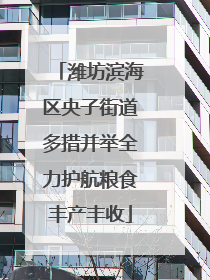 潍坊滨海区央子街道多措并举全力护航粮食丰产丰收