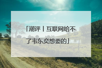 潮评丨互联网给不了韦东奕想要的