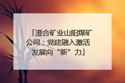 澄合矿业山阳煤矿公司：党建融入激活发展向“新”力