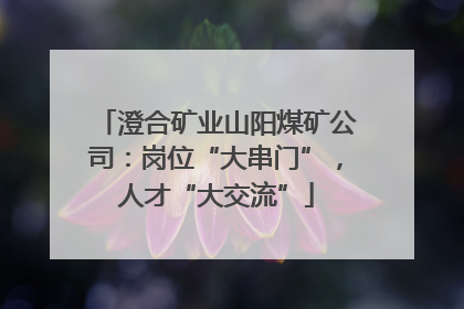 澄合矿业山阳煤矿公司：岗位“大串门”，人才“大交流”