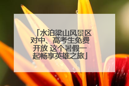 水泊梁山风景区对中、高考生免费开放 这个暑假一起畅享英雄之旅