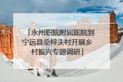 永州职院附属医院到宁远县桑梓头村开展乡村振兴专题调研