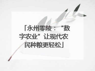 永州零陵：“数字农业”让现代农民种粮更轻松