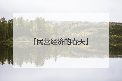 民营经济的春天