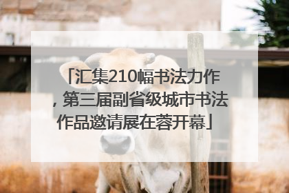 汇集210幅书法力作，第三届副省级城市书法作品邀请展在蓉开幕