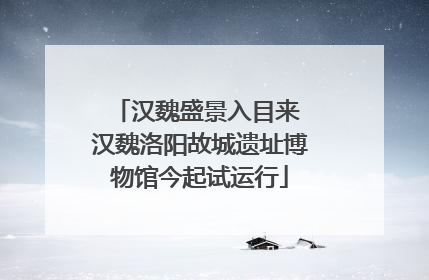 汉魏盛景入目来 汉魏洛阳故城遗址博物馆今起试运行