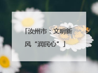汝州市：文明新风“润民心”