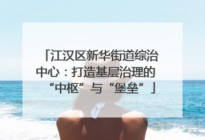 江汉区新华街道综治中心：打造基层治理的“中枢”与“堡垒”
