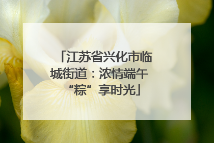 江苏省兴化市临城街道：浓情端午 “粽”享时光