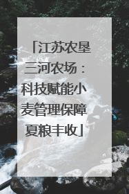 江苏农垦三河农场：科技赋能小麦管理保障夏粮丰收