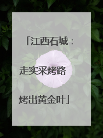 江西石城：走实采烤路 烤出黄金叶