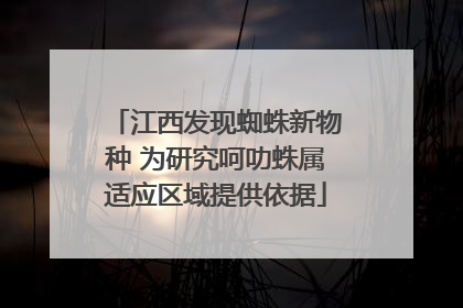 江西发现蜘蛛新物种 为研究呵叻蛛属适应区域提供依据