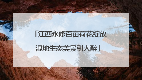 江西永修百亩荷花绽放 湿地生态美景引人醉