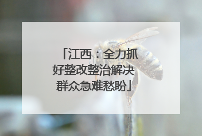 江西：全力抓好整改整治解决群众急难愁盼