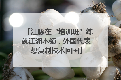 江豚在“培训班”练就江湖本领，外国代表想复制技术回国
