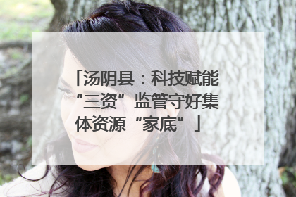 汤阴县：科技赋能“三资”监管守好集体资源“家底”