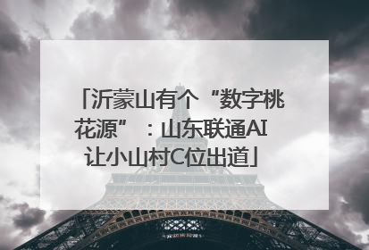 沂蒙山有个“数字桃花源”：山东联通AI让小山村C位出道