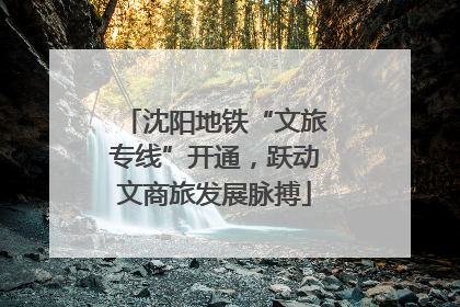 沈阳地铁“文旅专线”开通，跃动文商旅发展脉搏
