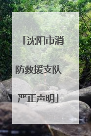 沈阳市消防救援支队严正声明