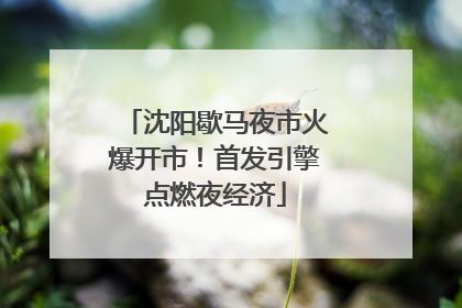 沈阳歇马夜市火爆开市！首发引擎点燃夜经济