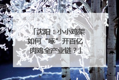 沈阳：小小鸡架如何“啄”开百亿肉鸡全产业链？