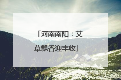 河南南阳：艾草飘香迎丰收