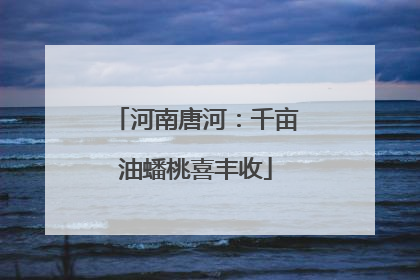 河南唐河：千亩油蟠桃喜丰收