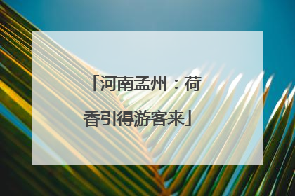河南孟州：荷香引得游客来
