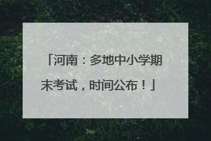 河南：多地中小学期末考试，时间公布！