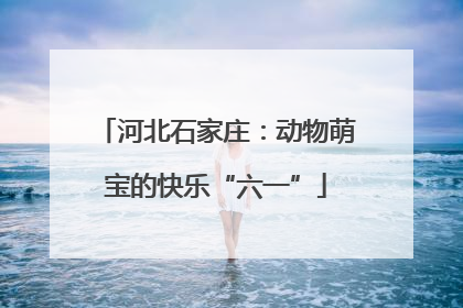 河北石家庄：动物萌宝的快乐“六一”