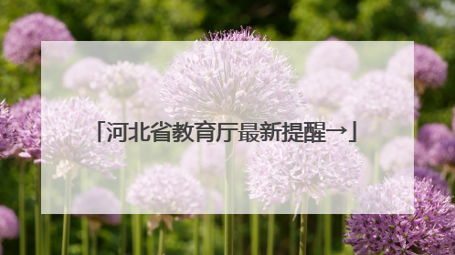河北省教育厅最新提醒→