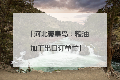 河北秦皇岛：粮油加工出口订单忙